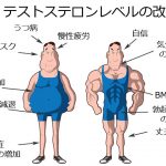 テストステロン レベル 改善 うつ病 認知症 ED 性欲 骨粗鬆症 慢性疲労