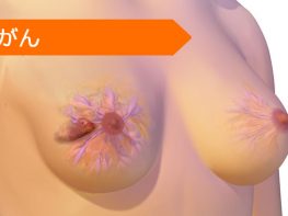 パクリタキセル ドセタキセル タモキシフェン エキセメスタン レトロゾール エピルビシン アナストロゾール