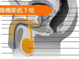 テストステロン