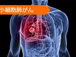 ゲフィチニブ ペメトレキセド エルロチニブ