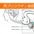 ブロモクリプチン